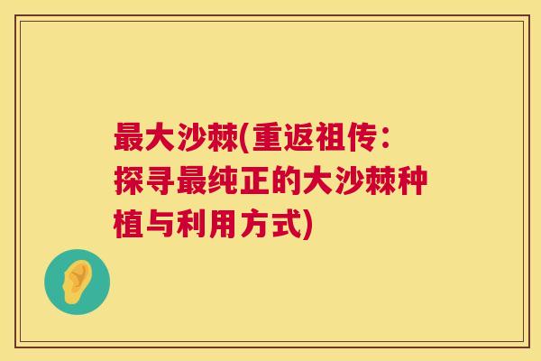 最大沙棘(重返祖传：探寻最纯正的大沙棘种植与利用方式)