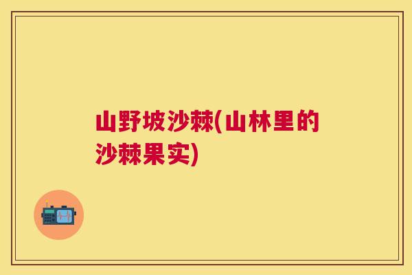 山野坡沙棘(山林里的沙棘果实)