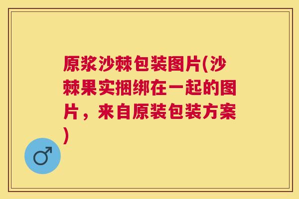原浆沙棘包装图片(沙棘果实捆绑在一起的图片，来自原装包装方案)