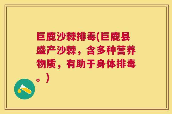 巨鹿沙棘排毒(巨鹿县盛产沙棘，含多种营养物质，有助于身体排毒。)