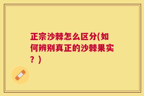 正宗沙棘怎么区分(如何辨别真正的沙棘果实？)