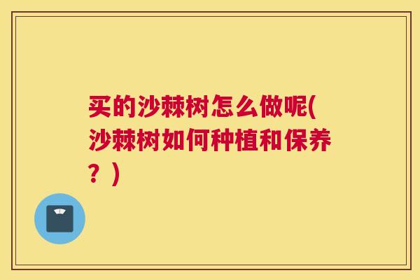 买的沙棘树怎么做呢(沙棘树如何种植和保养？)