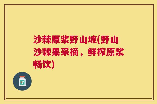 沙棘原浆野山坡(野山沙棘果采摘，鲜榨原浆畅饮)