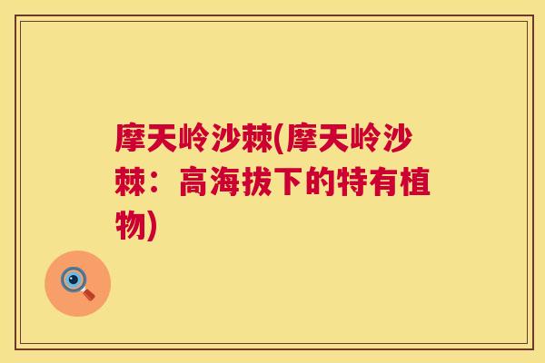摩天岭沙棘(摩天岭沙棘：高海拔下的特有植物)