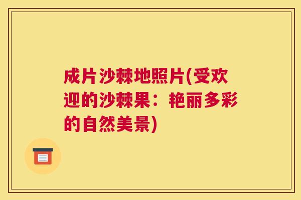 成片沙棘地照片(受欢迎的沙棘果：艳丽多彩的自然美景)