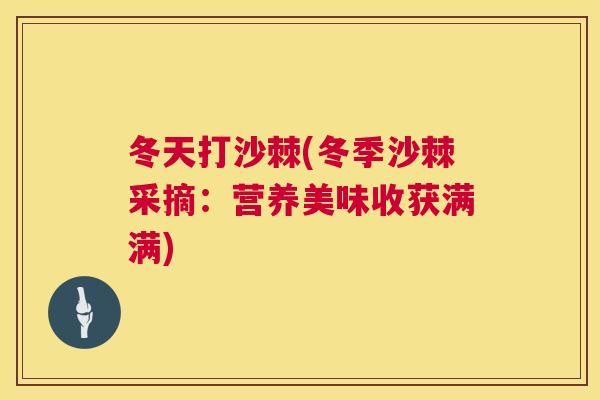 冬天打沙棘(冬季沙棘采摘：营养美味收获满满)