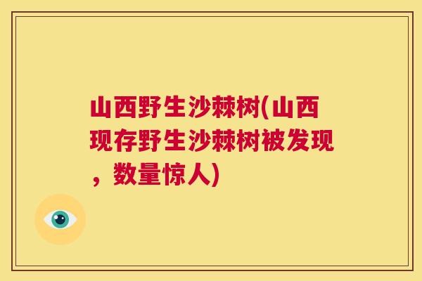 山西野生沙棘树(山西现存野生沙棘树被发现，数量惊人)
