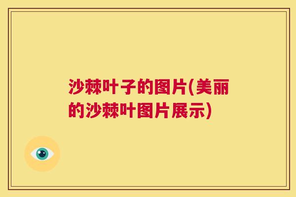 沙棘叶子的图片(美丽的沙棘叶图片展示)