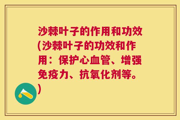 沙棘叶子的作用和功效(沙棘叶子的功效和作用：保护心血管、增强免疫力、抗氧化剂等。)