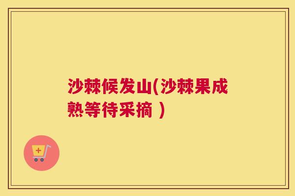 沙棘候发山(沙棘果成熟等待采摘 )
