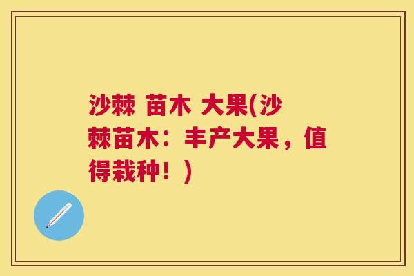 沙棘 苗木 大果(沙棘苗木：丰产大果，值得栽种！)