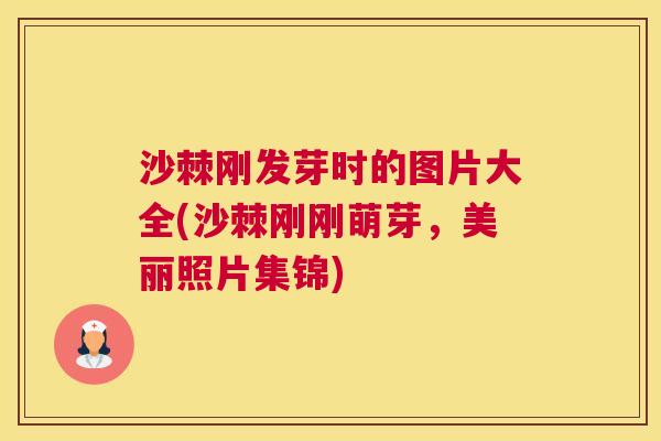 沙棘刚发芽时的图片大全(沙棘刚刚萌芽，美丽照片集锦)