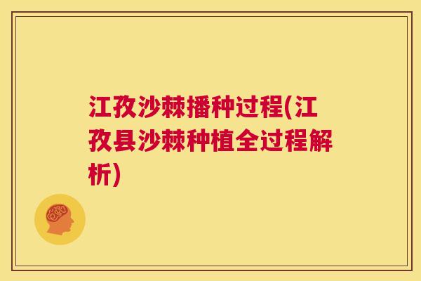 江孜沙棘播种过程(江孜县沙棘种植全过程解析)