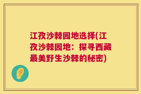 江孜沙棘园地选择(江孜沙棘园地：探寻西藏最美野生沙棘的秘密)