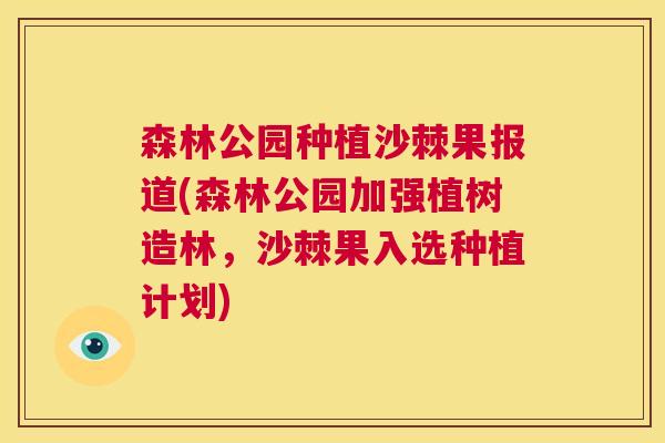 森林公园种植沙棘果报道(森林公园加强植树造林,沙棘果入选种植计划)