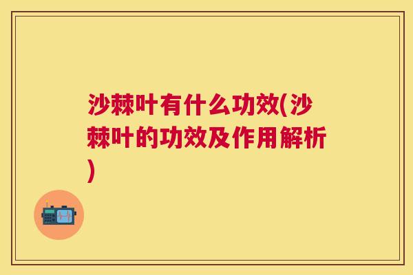 沙棘叶有什么功效(沙棘叶的功效及作用解析)