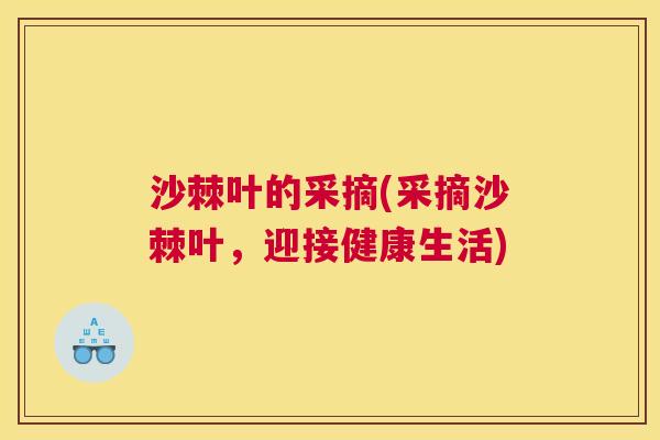沙棘叶的采摘(采摘沙棘叶，迎接健康生活)
