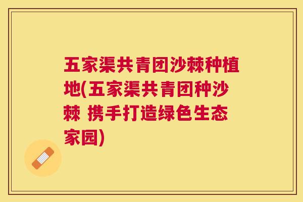 五家渠共青团沙棘种植地(五家渠共青团种沙棘 携手打造绿色生态家园)