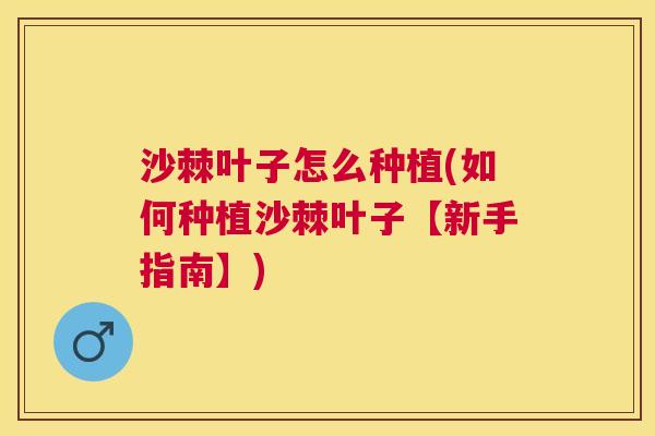 沙棘叶子怎么种植(如何种植沙棘叶子【新手指南】)