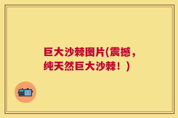 巨大沙棘图片(震撼，纯天然巨大沙棘！)