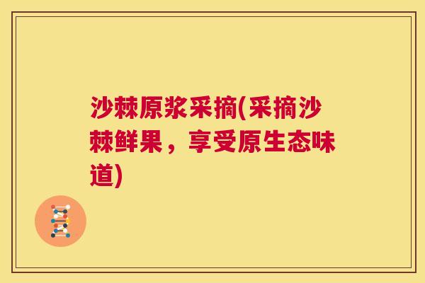 沙棘原浆采摘(采摘沙棘鲜果，享受原生态味道)