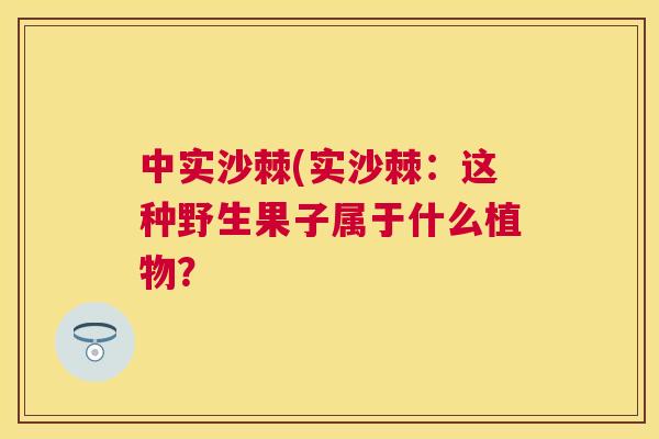 中实沙棘(实沙棘：这种野生果子属于什么植物？