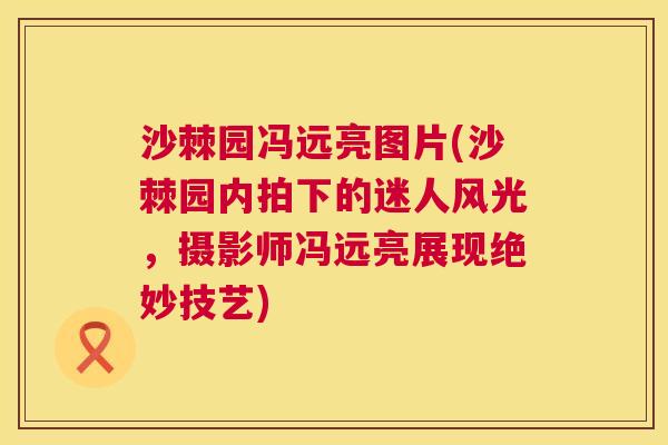 沙棘园冯远亮图片(沙棘园内拍下的迷人风光，摄影师冯远亮展现绝妙技艺)