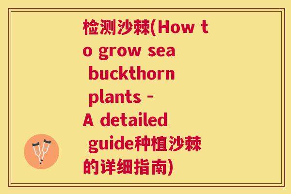 检测沙棘(How to grow sea buckthorn plants - A detailed guide种植沙棘的详细指南)