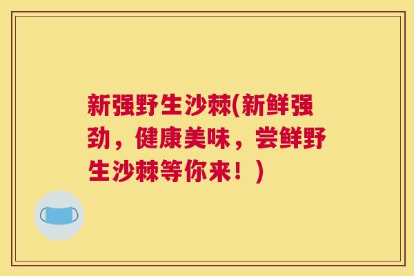新强野生沙棘(新鲜强劲，健康美味，尝鲜野生沙棘等你来！)