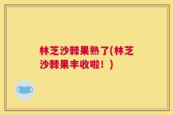 林芝沙棘果熟了(林芝沙棘果丰收啦！)