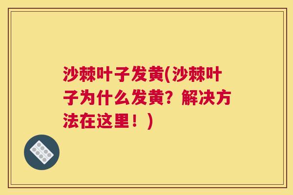 沙棘叶子发黄(沙棘叶子为什么发黄？解决方法在这里！)