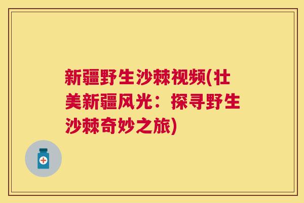 新疆野生沙棘视频(壮美新疆风光：探寻野生沙棘奇妙之旅)