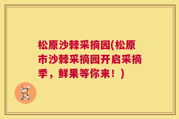 松原沙棘采摘园(松原市沙棘采摘园开启采摘季，鲜果等你来！)