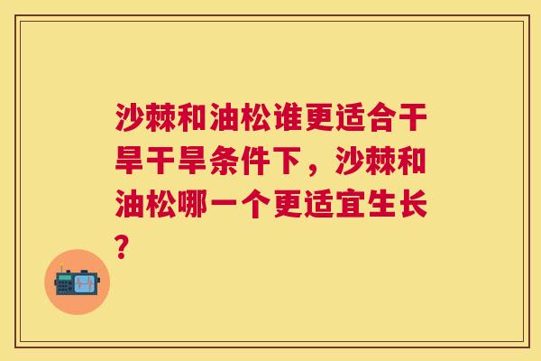 沙棘和油松谁更适合干旱干旱条件下，沙棘和油松哪一个更适宜生长？