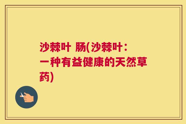 沙棘叶 肠(沙棘叶：一种有益健康的天然草药)