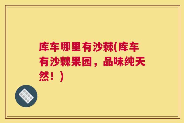 库车哪里有沙棘(库车有沙棘果园，品味纯天然！)