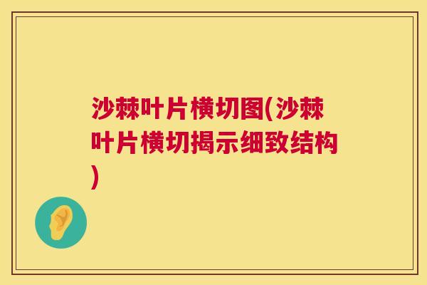 沙棘叶片横切图(沙棘叶片横切揭示细致结构)
