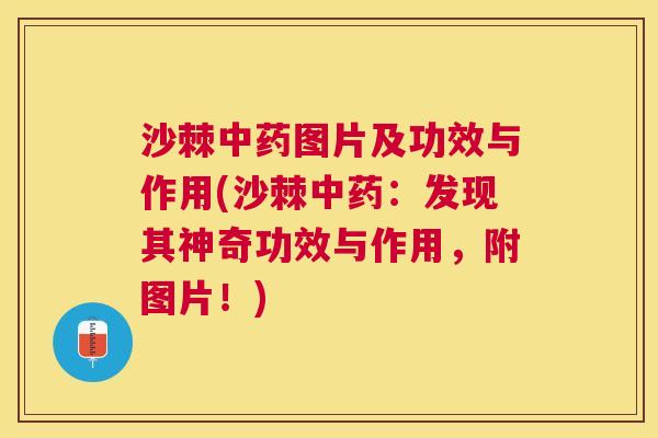 沙棘中药图片及功效与作用(沙棘中药：发现其神奇功效与作用，附图片！)