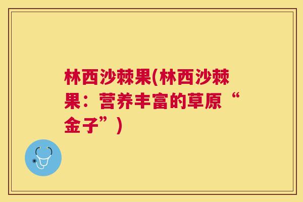林西沙棘果(林西沙棘果：营养丰富的草原“金子”)