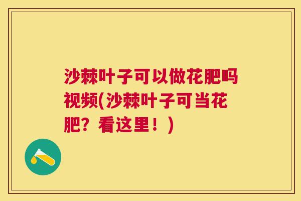 沙棘叶子可以做花肥吗视频(沙棘叶子可当花肥？看这里！)