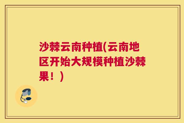 沙棘云南种植(云南地区开始大规模种植沙棘果！)