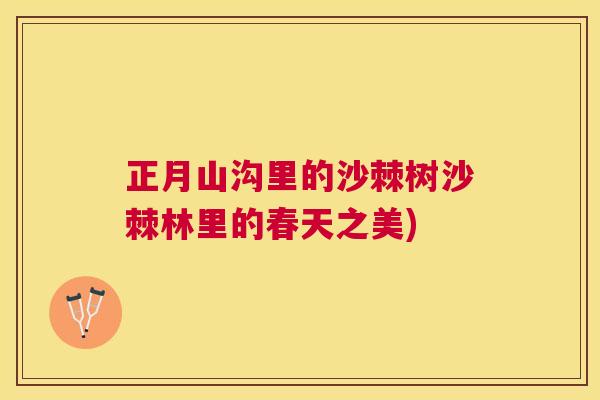 正月山沟里的沙棘树沙棘林里的春天之美)