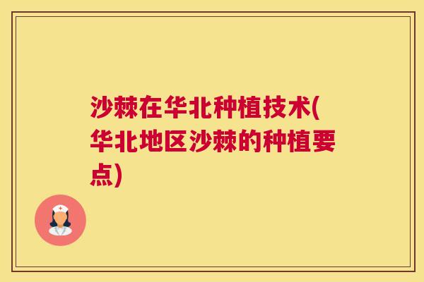 沙棘在华北种植技术(华北地区沙棘的种植要点)