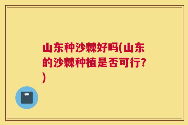 山东种沙棘好吗(山东的沙棘种植是否可行？)