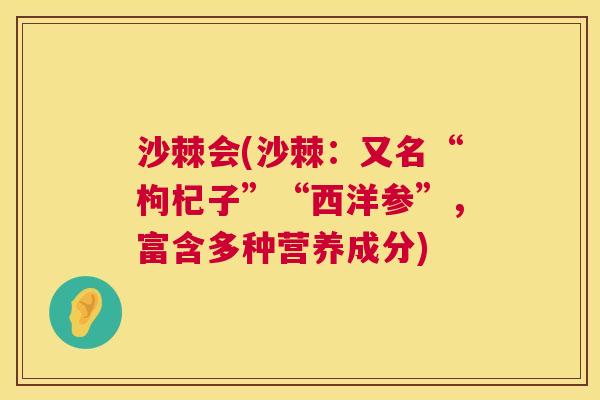沙棘会(沙棘：又名“枸杞子”“西洋参”，富含多种营养成分)