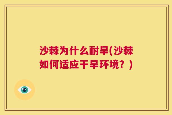 沙棘为什么耐旱(沙棘如何适应干旱环境？)