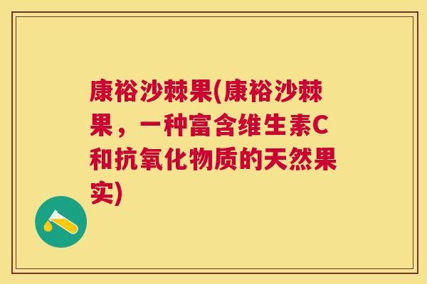康裕沙棘果(康裕沙棘果，一种富含维生素C和抗氧化物质的天然果实)
