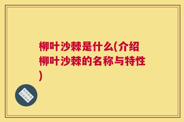 柳叶沙棘是什么(介绍柳叶沙棘的名称与特性)
