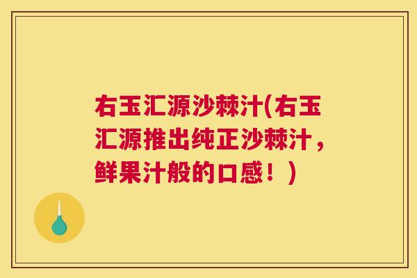 右玉汇源沙棘汁(右玉汇源推出纯正沙棘汁，鲜果汁般的口感！)