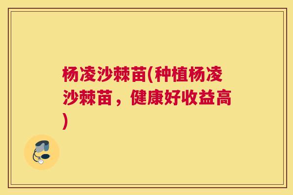 杨凌沙棘苗(种植杨凌沙棘苗，健康好收益高)